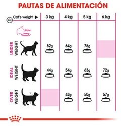 Royal Canin Fit Gato 32, 3 en 1 - Imagen 3