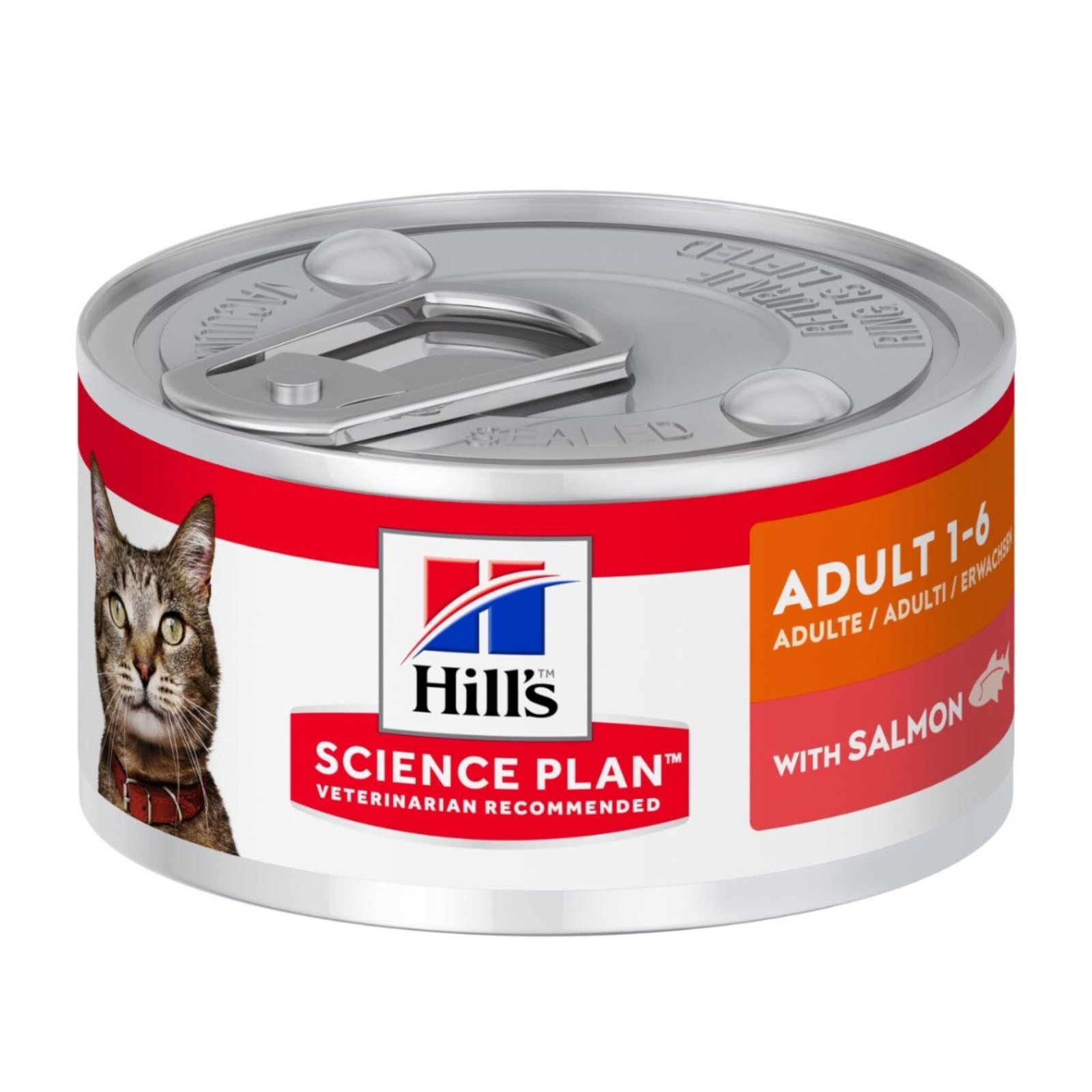 Lata Hills Gato Adulto Salmón 5.5 onz