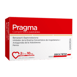 PRAGMA 2.5 MG X 20 COMPRIMIDOS - Imagen 1