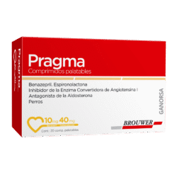 PRAGMA 10 MG X 20 COMPRIMIDOS - Imagen 1