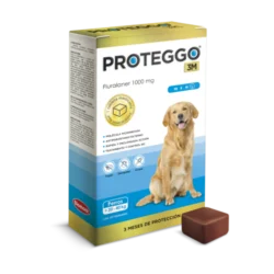 PROTEGGO 20-40 KG 1 TABLETA 3 MESES - Imagen 1