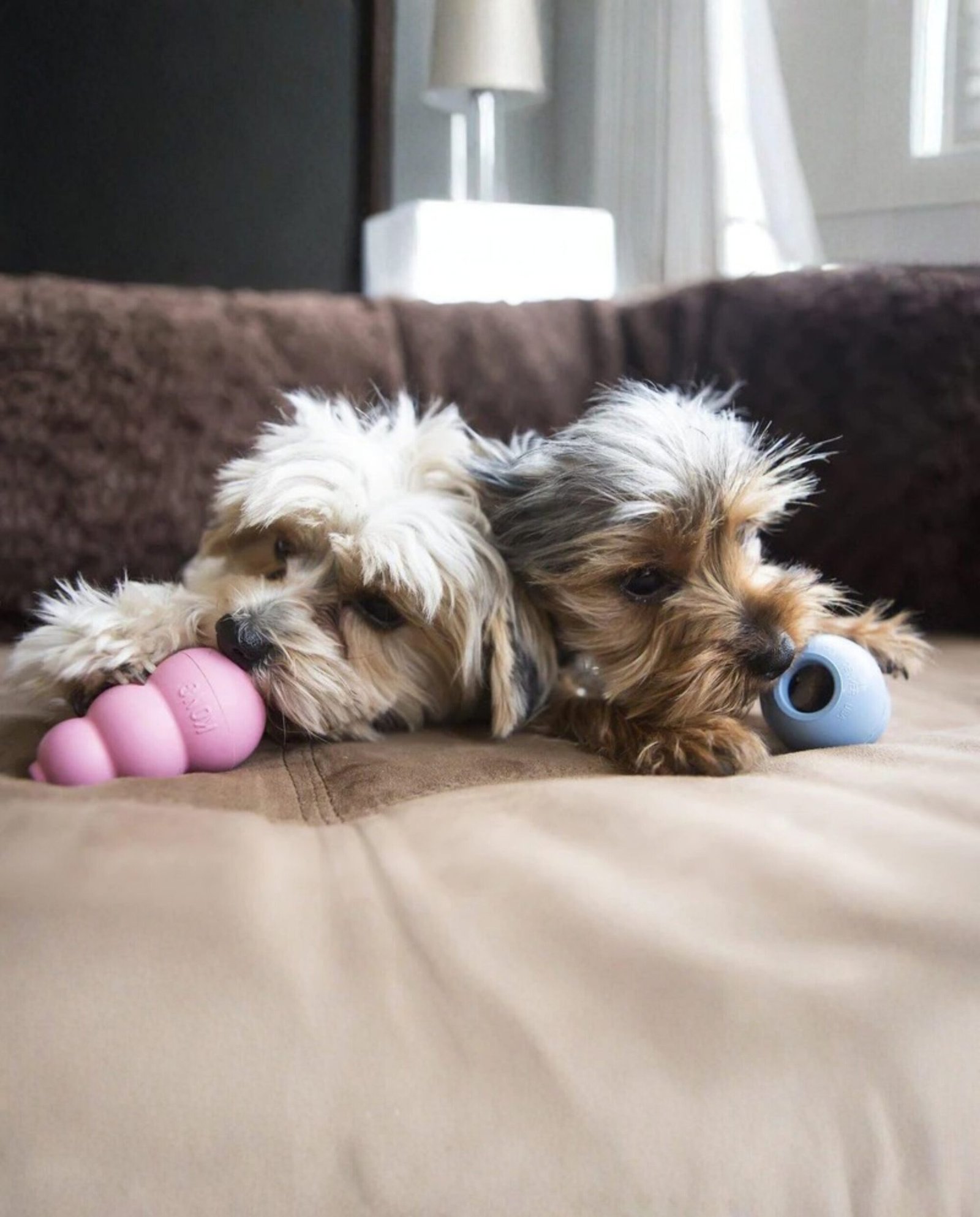 Juguete Kong Puppy - Imagen 3