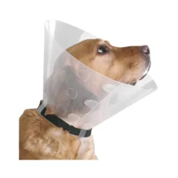 Collar Isabelino