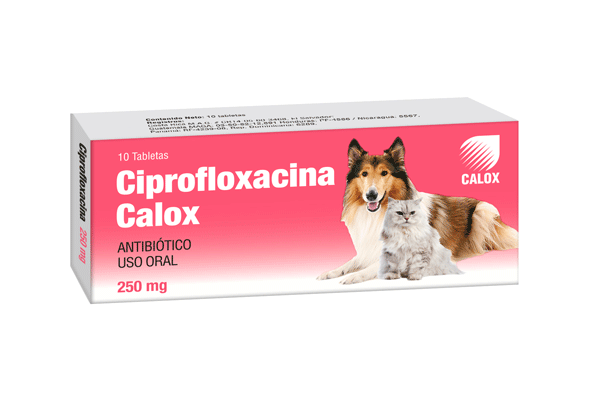 Ciprofloxacina Calox Tableta 250 mg