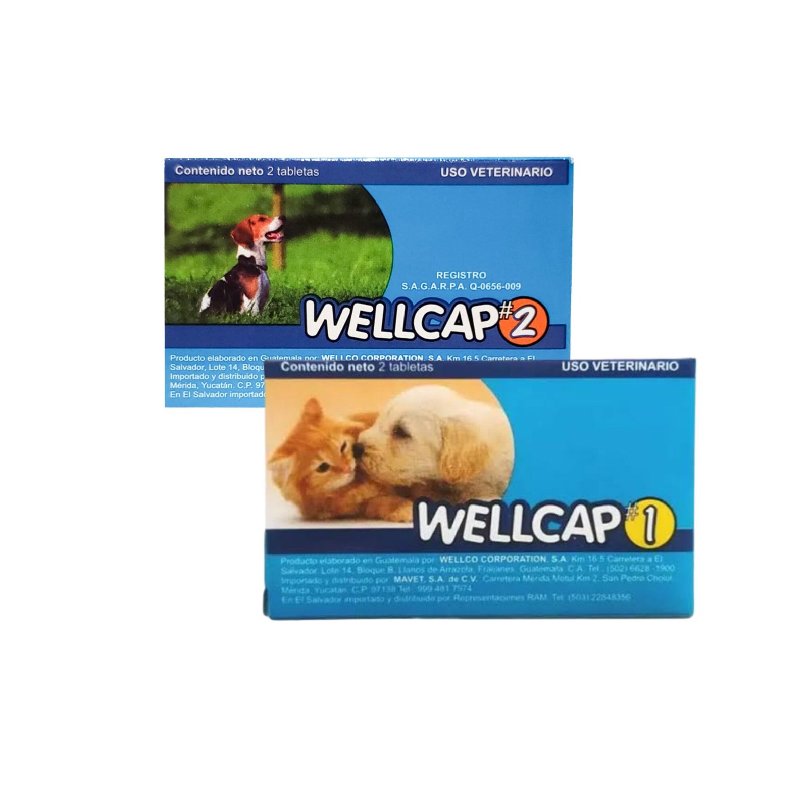 Desparacitante Well Cap Caja De 2 Tabletas