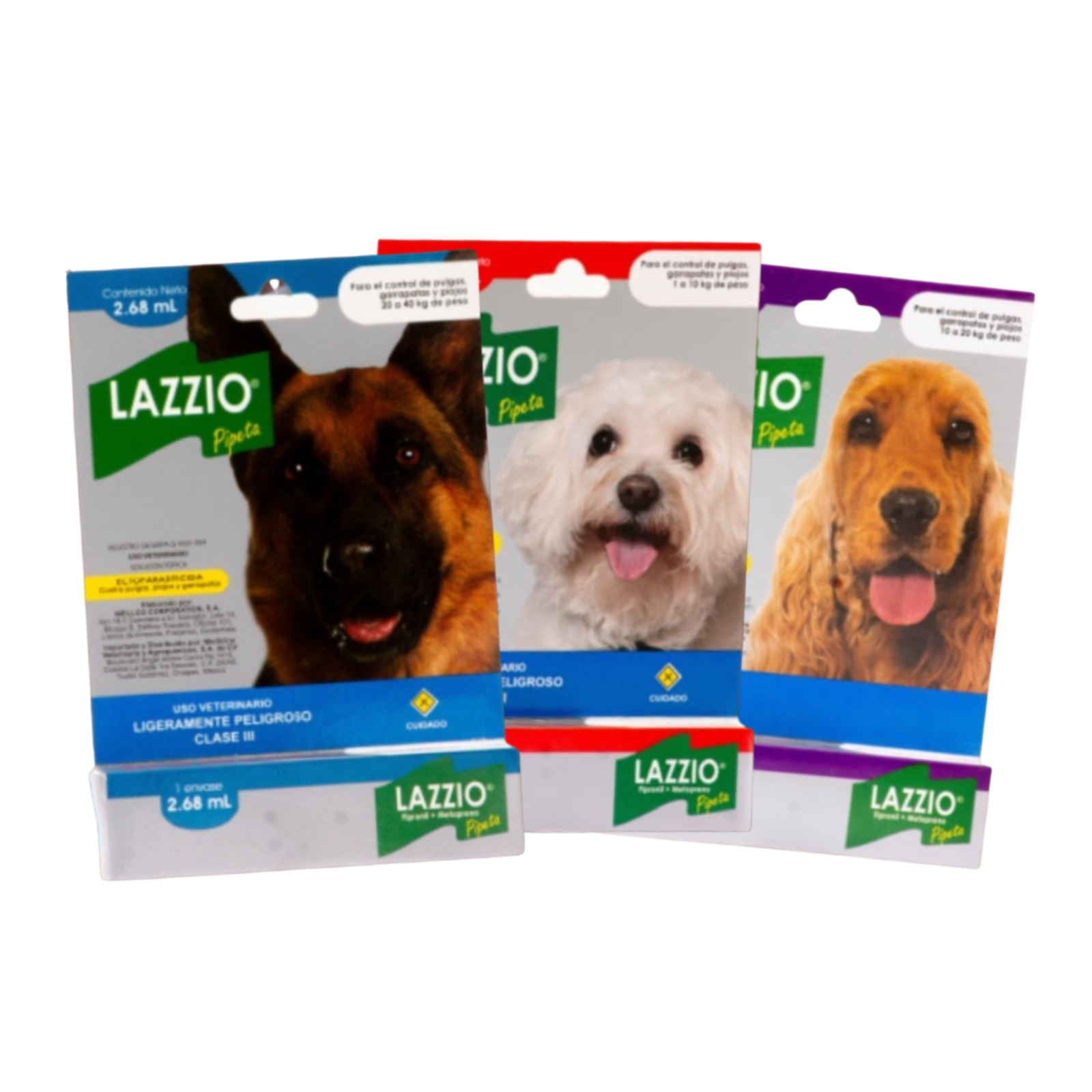 Pipeta Lazzio Perro