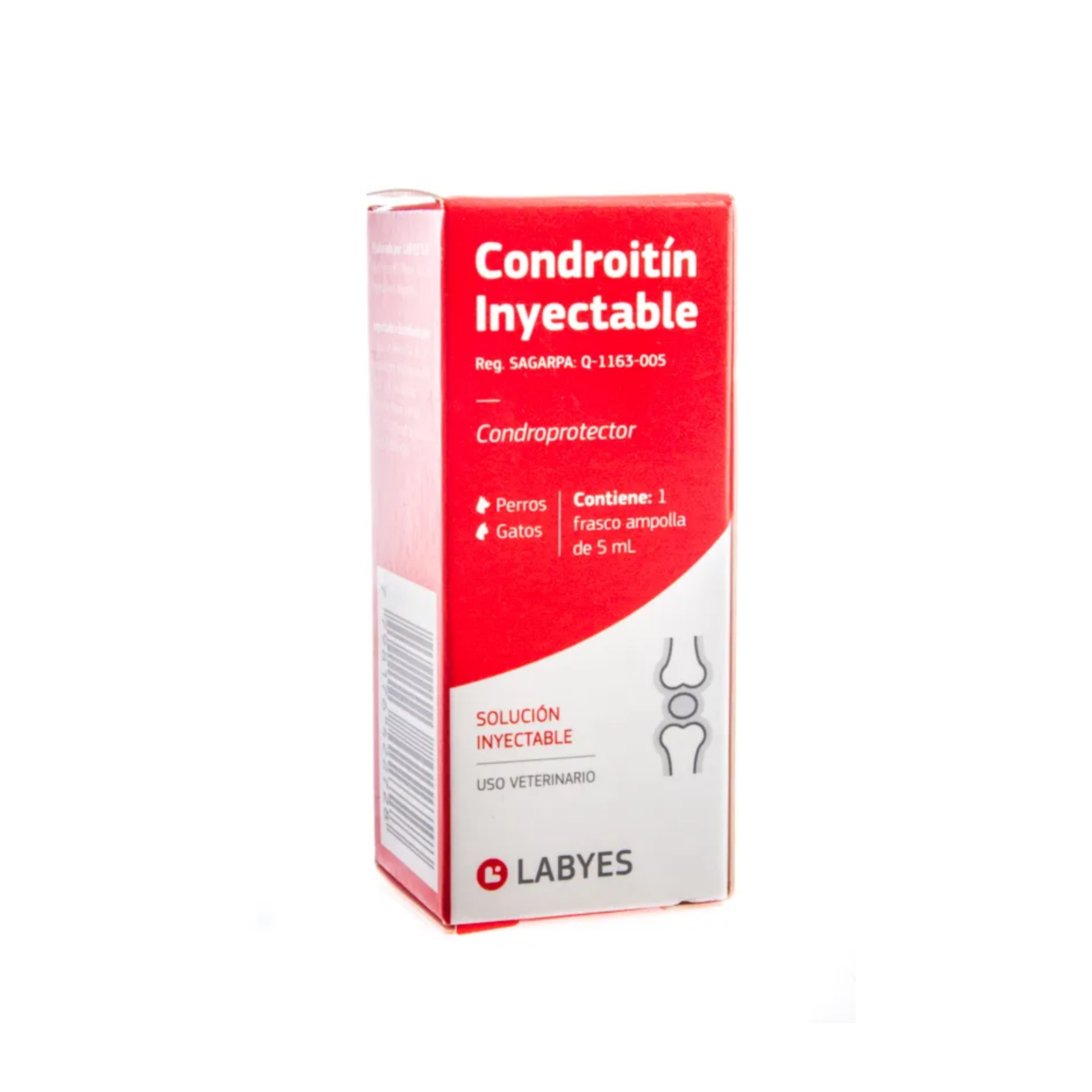 Condroitin Sulfato A 5 Ml Inyectable